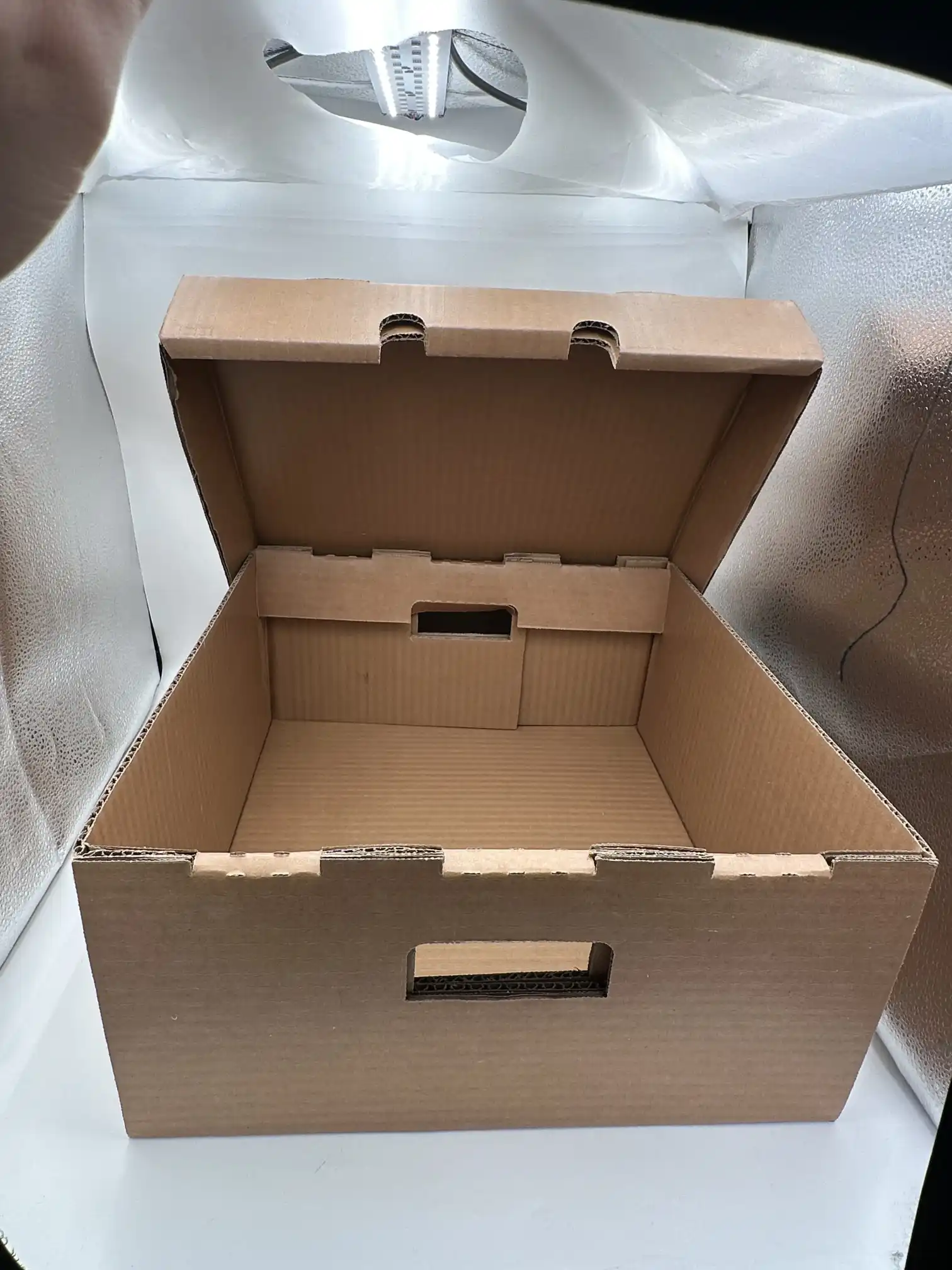 பெரிய மெழுகு நெளிந்த பெட்டி